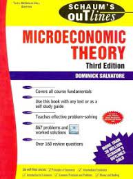 Microeconomics Theory